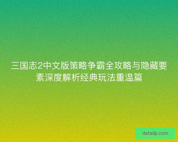 三国志2中文版策略争霸全攻略与隐藏要素深度解析经典玩法重温篇